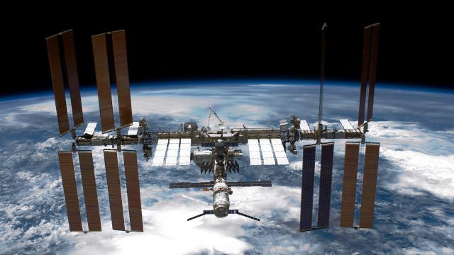 NASA Scientists Find Possibly Infectious Superbugs On Board The ISS