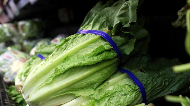 CDC Says Some Romaine Lettuce Is Now Safe To Eat – But Don’t Break Out The Salad Tongs Yet