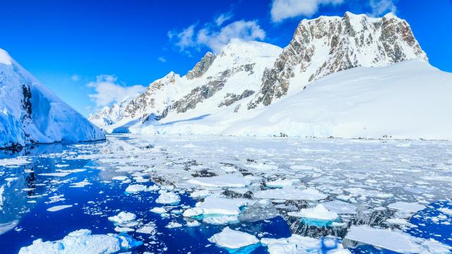 What Countries Can And Can’t Do In Antarctica In The Name Of Science