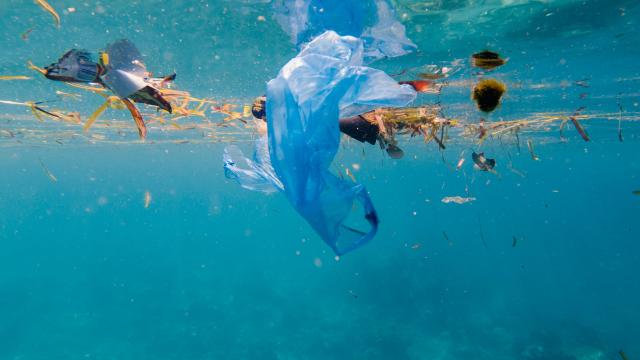 5 Innovations Saving Oceans From Plastic Pollution