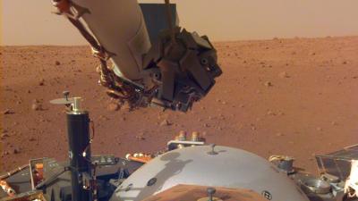 New Images From Mars Show NASA’s InSight Landed On An Absolutely Glorious Spot