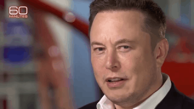 7 GIFs Of Elon Musk Having A Normal One On 60 Minutes
