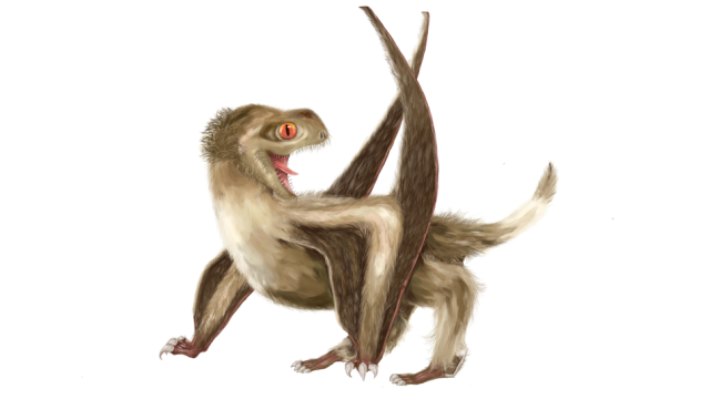Ancient Flying Reptiles Featured Distinctly Dino-Like Feathers