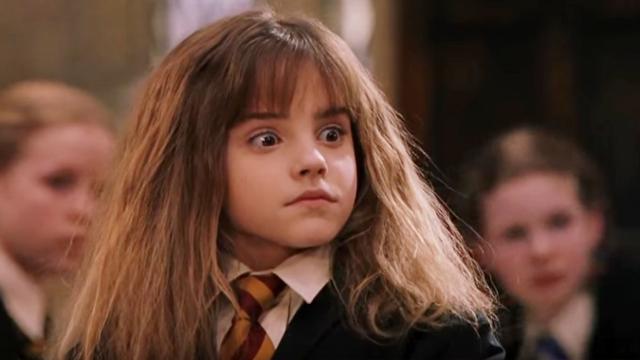 Hey Muggles, Netflix Is Getting Every Harry Potter Film