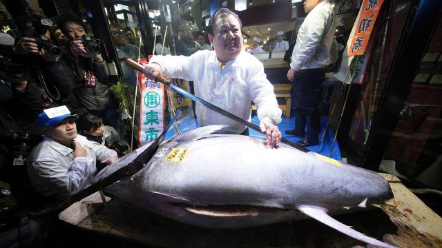 Japanese Sushi Magnate Kicks Off 2019 By Ridiculously Overpaying For Bluefin, Regretting It
