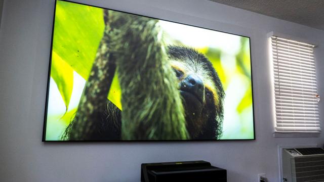Hisense Is Bringing Its Mammoth 100-Inch 4K TV To Australia