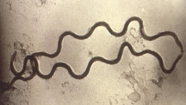 Bristol Meyers-Squibb And Others Can’t Dodge $1 Billion Lawsuit Over 1940s Syphilis Study, Judge Rules