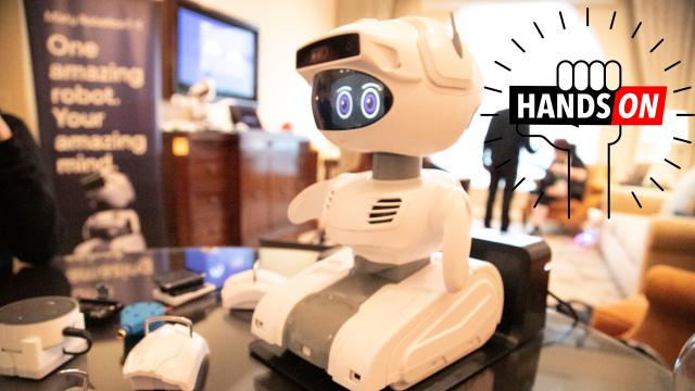 This Robot Doesn’t Care If You Want To Buy It, But Maybe That’s Why It Will Succeed