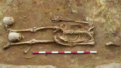 Trove Of Decapitated Skeletons In England Sparks Archaeological Mystery