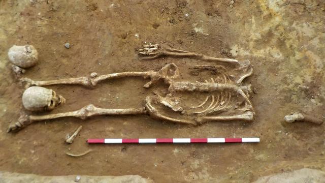 Trove Of Decapitated Skeletons In England Sparks Archaeological Mystery