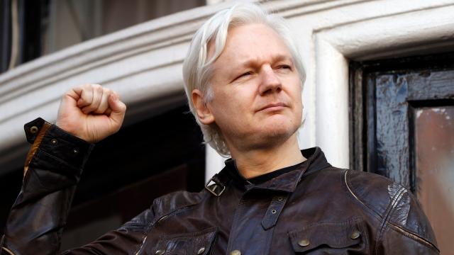 The US Government Has Amassed Terabytes Of Internal WikiLeaks Data