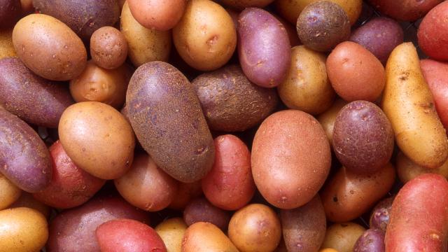 Potatoes Have A Form Of ‘Depression’, But Scientists Have An Idea To Cure Them