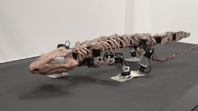 Fascinating Experiment Uses A Robot To Recreate The Walking Style Of An Early Land Dweller