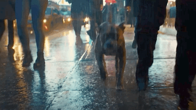 John Wick: Chapter 3 – Parabellum’s First Trailer Finds Its Murderous Hero On The Run