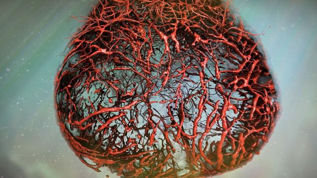 Lab-Grown ‘Perfect’ Human Blood Vessels Are A Thing Now