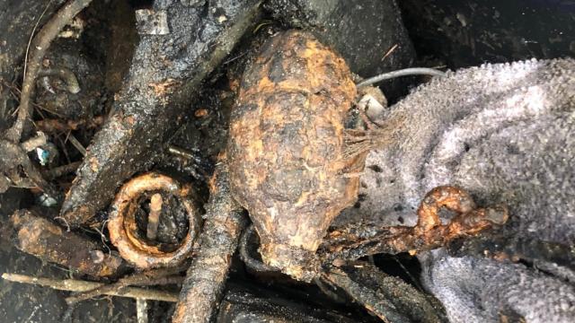 Man In Florida Discovers ‘WWII Hand Grenade,’ Drives It To Local Taco Bell