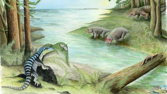 Rare Fossil Of Triassic Reptile Discovered In Antarctica