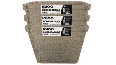 Igloo’s New Foam-Free Coolers Are Made From Biodegradable Tree Pulp