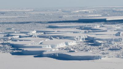Scientists Will Once Again Try To Explore Alien Ecosystem Exposed By Giant Antarctic Iceberg