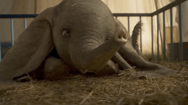 The New Dumbo Trailer Revels In The Spectacle Of A Circus With A Flying Elephant