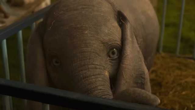 The Latest Dumbo Preview Is Wonderfully Whimsical, And Just A Little Uncanny