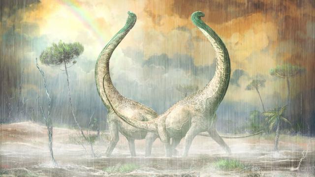 Newly Discovered African Titanosaur Had A Distinctly Heart-Shaped Tailbone