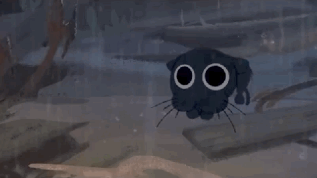 Pixar’s Emotional New Short Will Make A Pet Lover Out Of You