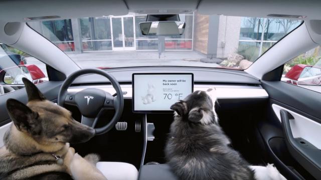 Tesla Adds Dog Mode For Extremely Good Bois