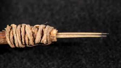 2,000-Year-Old Tattoo Tool Found In A Washington Storage Closet