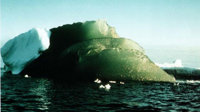 Scientists Might Finally Know Why Some Icebergs Are Bright Green
