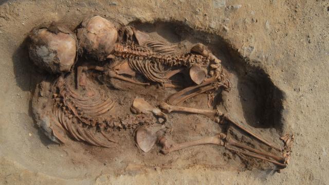 Ritual Sacrifice Of 137 Children Found At 15th-Century Archaeological Site In Peru