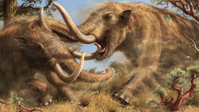 This Newly Discovered Mastodon Species Roamed California For Millions Of Years