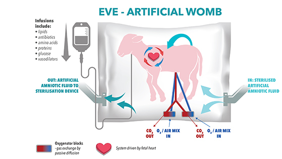 Artificial Wombs Are Getting Better And Better