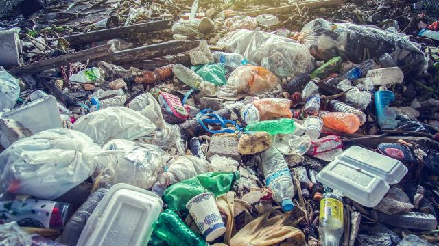 Hobart Is Banning Single Use Plastics