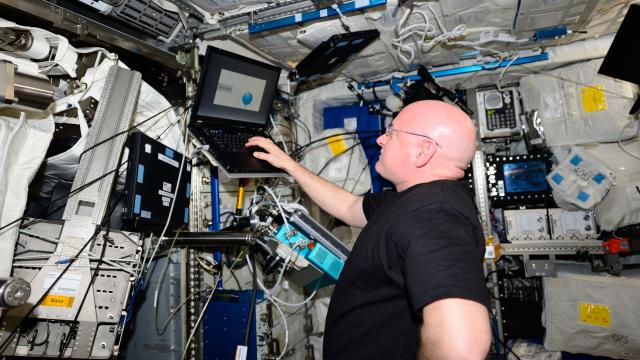 Final Results Of NASA Twins Study Show How Scott Kelly Changed After A Year In Space