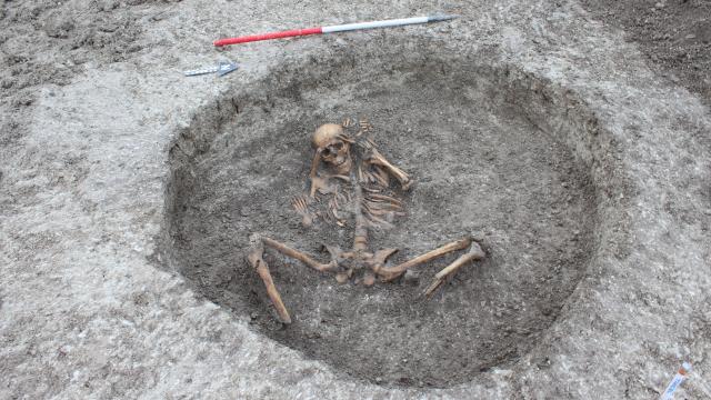 Utility Workers In England Stumble Upon Grisly Graves Of 26 Iron Age Skeletons