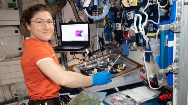 ‘It Feels Awesome’: NASA Astronaut Learns She Will Spend Record-Breaking 328 Days In Space