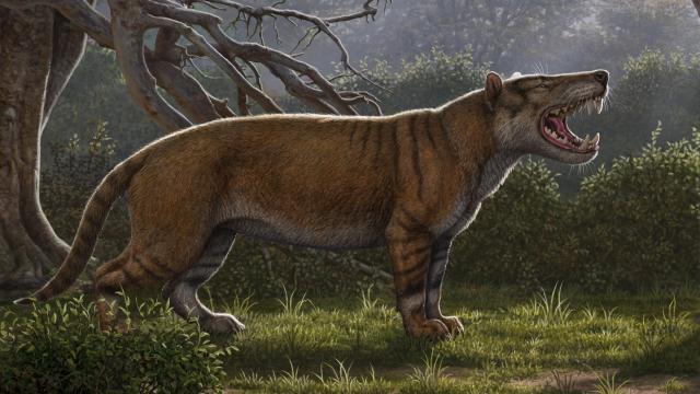 Newly Discovered Ancient Carnivore Was Bigger Than A Polar Bear And Is True Nightmare Fuel