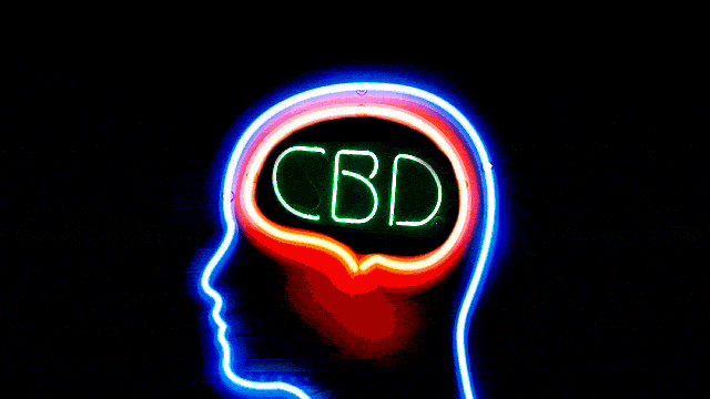 Should You, Your Mum, And Your Dog Be Using CBD?