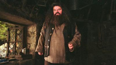The New Harry Potter Ride Will Feature One Of Hagrid’s Unique Creatures That Wasn’t In The Movies