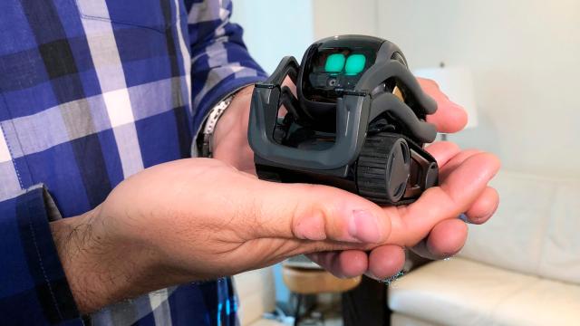 Anki, Maker Of Adorable Robots That Don’t Do All That Much, Abruptly Shuts Down