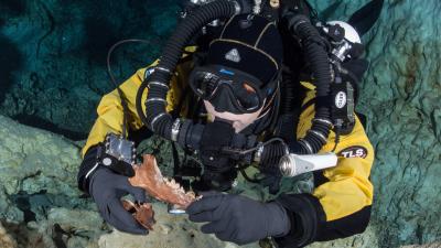 Treasure Trove Of Ice Age Animal Remains Found In Submerged Mexican Cave