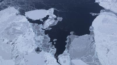 The Last Of The Arctic’s Old Sea Ice Is On The Verge Of Vanishing