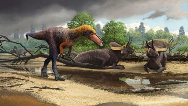 Newly Discovered Cousin Of T. Rex Was A Pint-Sized Killer