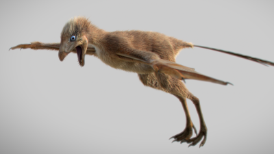 Adorable Jurassic Dinosaur May Have Flown With Bat-Like Wings