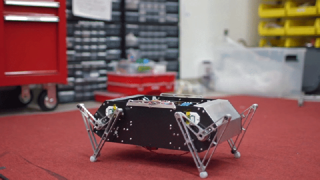 Stanford Students Built This Adorable, Bouncy, Open-Source Robot Dog