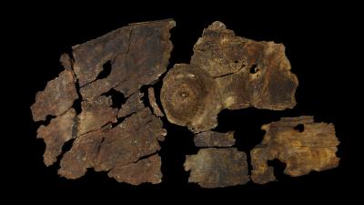 2300-Year-Old Bark Shield Showcases A Previously Unknown Iron Age Technology