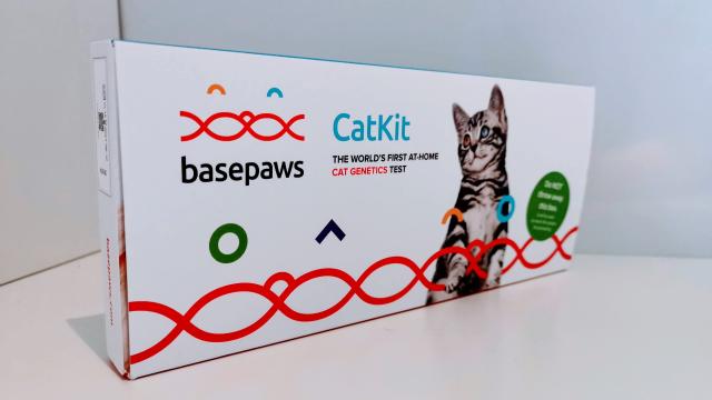 Basepaws Review: Cat DNA Test Is Far From Purrfect