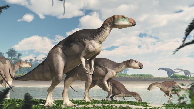 ‘Spectacular’ Opal-Laced Fossils Reveal Previously Unknown Australian Dinosaur