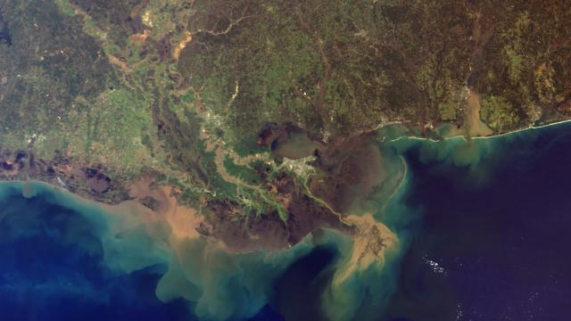 The Gulf Of Mexico’s ‘Dead Zone’ Could Balloon To Over 8,000 Square Miles This Summer